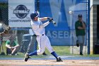 Baseball vs Babson  Wheaton College Baseball vs Babson during Semi final game of the NEWMAC Championship hosted by Wheaton. - (Photo by Keith Nordstrom) : Wheaton, baseball, NEWMAC